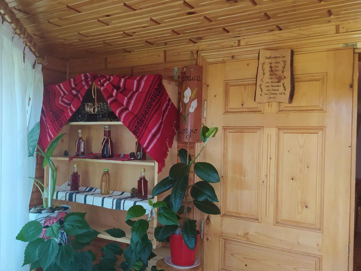 Casa Moldovita Εξωτερικό φωτογραφία