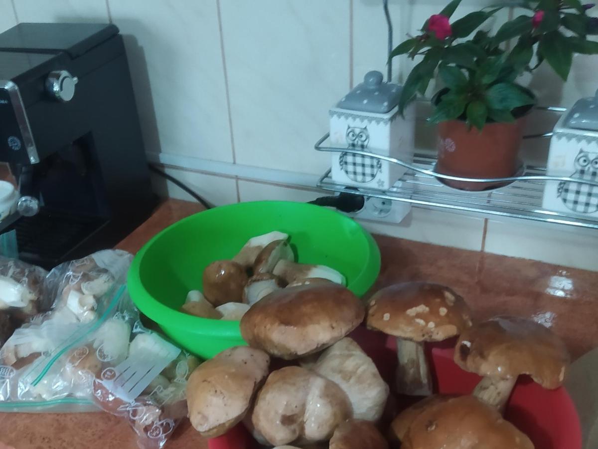 Casa Moldovita Εξωτερικό φωτογραφία